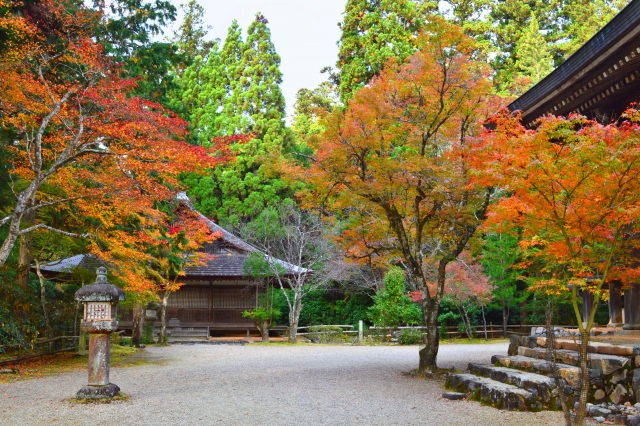 神護寺の概要